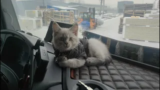Рейс в Иркутск часть 2 (почему же я назвал кота Ев?)