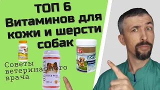 Витамины для шерсти собаки