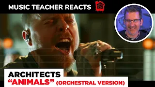 Music Teacher REACTS TO Architects "Animals" (Orchestral Version) | MUSIC SHED EP 127