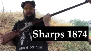 Sharps 1874