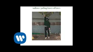 Wallows - Pulling Leaves Off Trees (Official Audio)