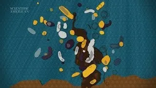 Can Microbes Clean Up Our Oily Mess? - Instant Egghead #58