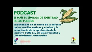 El maíz símbolo de identidad de los pueblos.