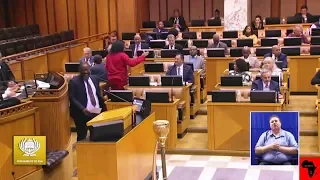 DA vs EFF On Land Reform (Land Expropriation Without Compensation)
