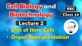 Cell Biology and Biotechnology, Lecture 2 | Class 10 SSC | Uses of stem cells, Organ transplantation