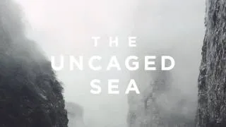 The Uncaged Sea - Lost Clouds (Official Audio)