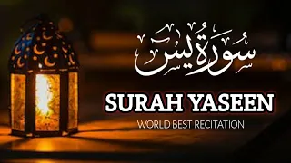 Surah Yaseen (Yasin) World most amazing Recitation سورۃ یٰسین I Tilawat