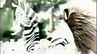 Madagascar (2005) - TV Spot 2