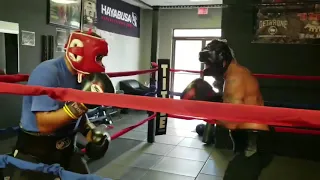 Boxing sparring of Fidel Hernandez and Estevan Payan