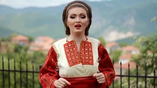 Elena Jovceska - Vrbice vrbo zelena / Елена Јовческа - Врбице врбо зелена (Official Video)