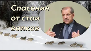 Помни путь (6/7). Спасение от стаи волков (Владимир Миняков)