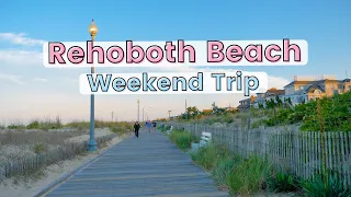 Visiting Rehoboth Beach & Assateague Island for a DC Weekend Trip!