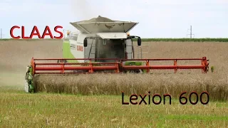 [Уборка рапса] CLAAS Lexion 600 + v1050, МАЗ 5516