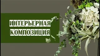 Интерьерная композиция // МОХ, сухоцветы и искусственные цветы