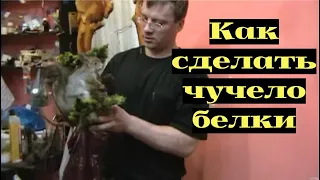 Как сделать чучело БЕЛКИ в домашних условиях. #1