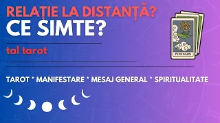 RELAȚIE LA DISTANȚĂ? CE SIMTE CU ADEVĂRAT CELĂLALT🔺 tarot 🔺 spiritualitate 🔺 mesaj atemporal 🔺