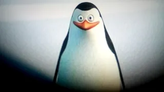 Penguins of Madagascar cute private.