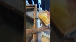 Beekeeping as profitable sideline equipment workshop