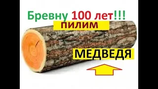 Медведь из бревна, которому 100 лет! "Артель братьев Спицыных"