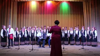 Пісня «Сива голубка»