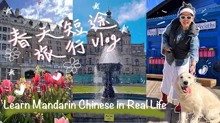 Vlog in Chinese: 🍀春天的短途旅行#PinyinEnglishSubtitles