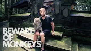 Visiting the Famous Monkey Forest in Ubud Bali Indonesia I Is It Worth Visiting?