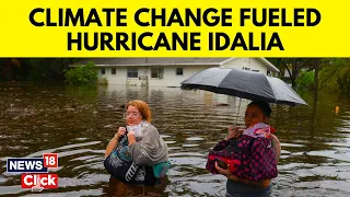 Climate Change News | Explained: How Climate Change Fueled Hurricane Idalia | Idalia Storm | N18V