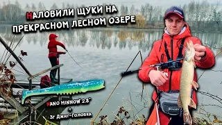 Наловили щуки на лесном озере. Обзор НОВИНКИ 2021 - Сrazy Fish VERSUS 862MLT