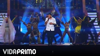 DON OMAR : EL CURANDERO @ HECHO EN PUERTO RICO