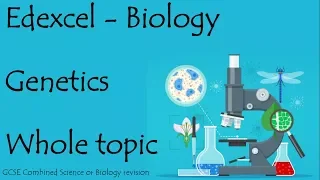 The Whole of Edexcel GENETICS. Revision for 9-1 GCSE biology or combined science