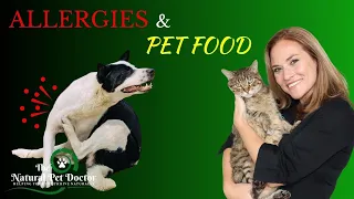 Pet Food Allergies | Healthy Pet Food