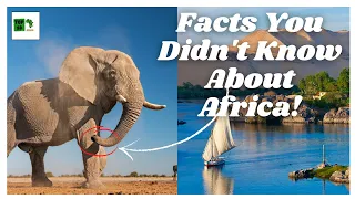 Top 10 Mind Blowing Facts About Africa 2021