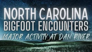 NORTH CAROLINA BIGFOOT | IT WALKED UNDER MY TREE STAND