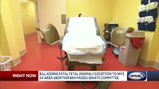 Bill adding fatal fetal anomaly exception to 24-week abortion ban passes Senate committee