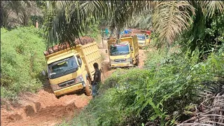 Guts Vibrating! Truck Driver Fights Against Fear