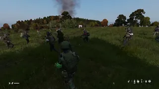 DayZ friendly fire incident