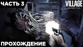 RESIDENT EVIL 8: VILLAGE - КУКЛЫ УБИЙЦЫ! УЖАСЫ ДЕРЕВНИ | ПРОХОЖДЕНИЕ #3