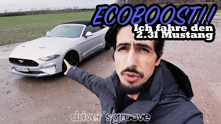 Ich fahre den Mustang Ecoboost! Wie ist er wirklich?