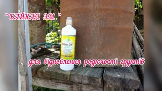 як  ми робимо  сівозміну і оздоровляємо  грунт  у теплицях і парниках / СІЛЬСЬКЕ ЖИТТЯ.