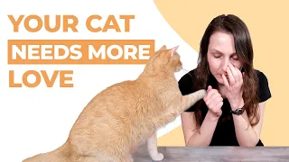 7 Signs Your Cat Isn't Bonded to You