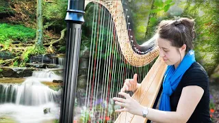 Soft and relaxing harp, zen and nature music, stream, birdsong, relaxation, musician