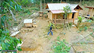 Full Video: The 365-day process of building a fairyland, Upgrading a small wooden house