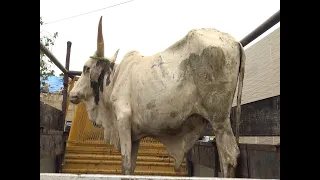 Magal Touba : A la découverte de l'enclos de Sokhna Momy Kébé