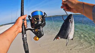 This is WHY you use GIANT CUT BAIT Surf Fishing