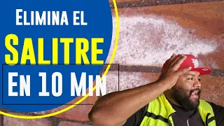 Curación de salitre *Elimínalo en 10 minutos*