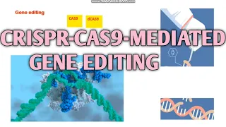 Crispr-cas9 mediated gene editing ll CSIR-NET life science ll xgene & proteinx