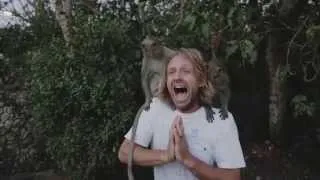 Switchfoot - Fading West Clip (Monkeys in Bali)