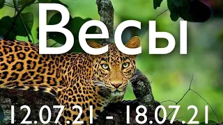 Прогноз на неделю с 12 по 18 июля 2021 года  для представителей знака зодиака Весы