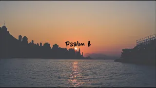 Psalm 8 - NIV | AUDIO BIBLE & TEXT
