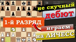 Играем на Lichess с первым разрядом | Северный гамбит | шахматный клуб Черный Король